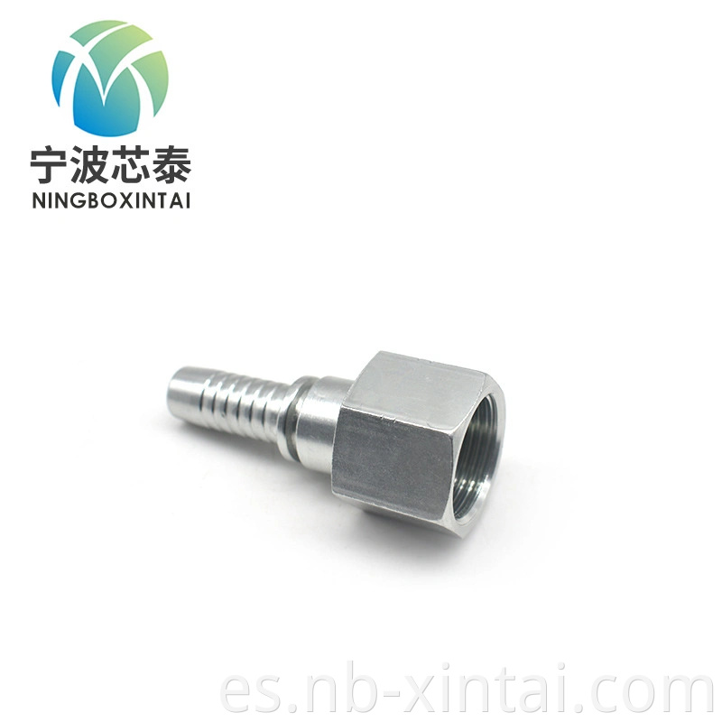 Ajuste de tubería de manguera hidráulica accesorios de manguera hidráulica reutilizable de acoplador rápido ODM ODM Ningbo Ningbo